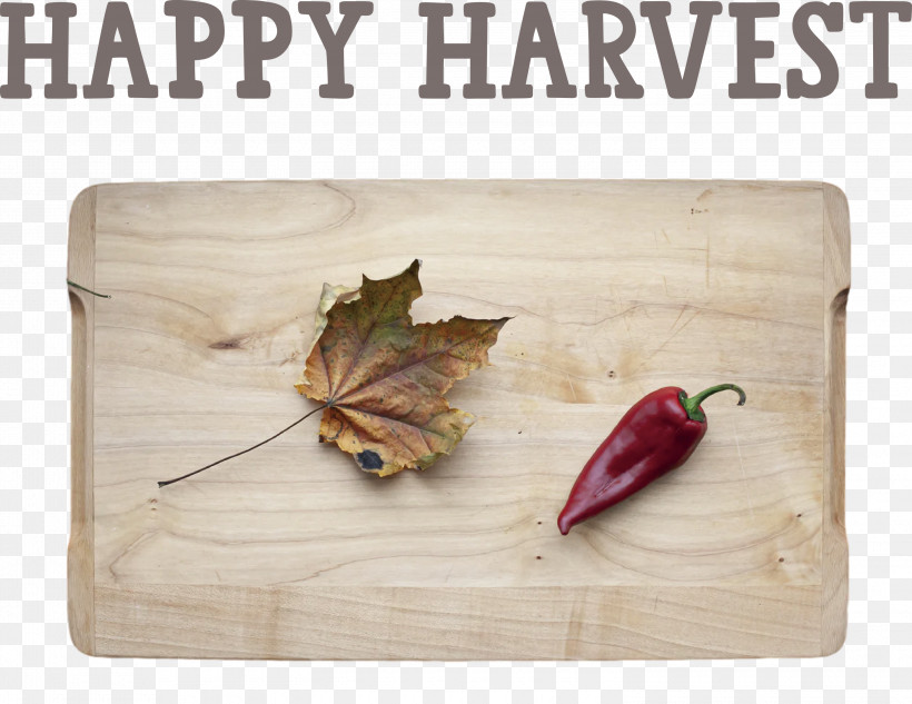 Happy Harvest Harvest Time, PNG, 3000x2316px, Happy Harvest, Drawing, Flower, Harvest Time, Leaf Download Free