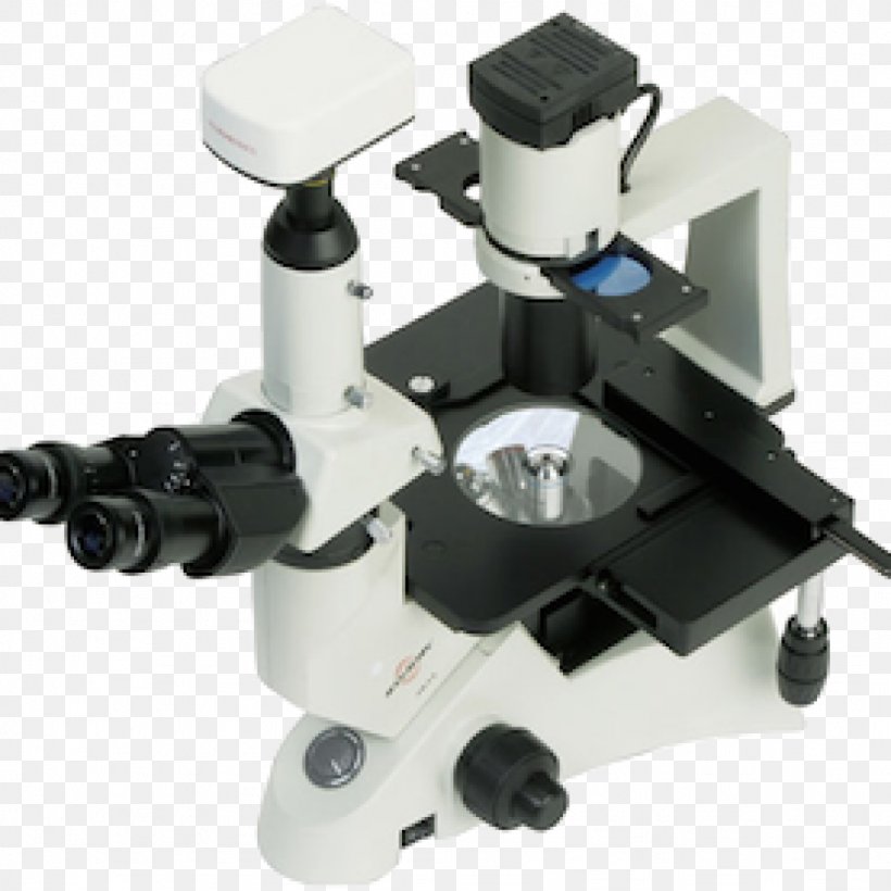 Inverted Microscope Fluorescence Microscope Biology, PNG, 1024x1024px, Microscope, Biology, Cell, Cell Culture, Fluorescence Download Free