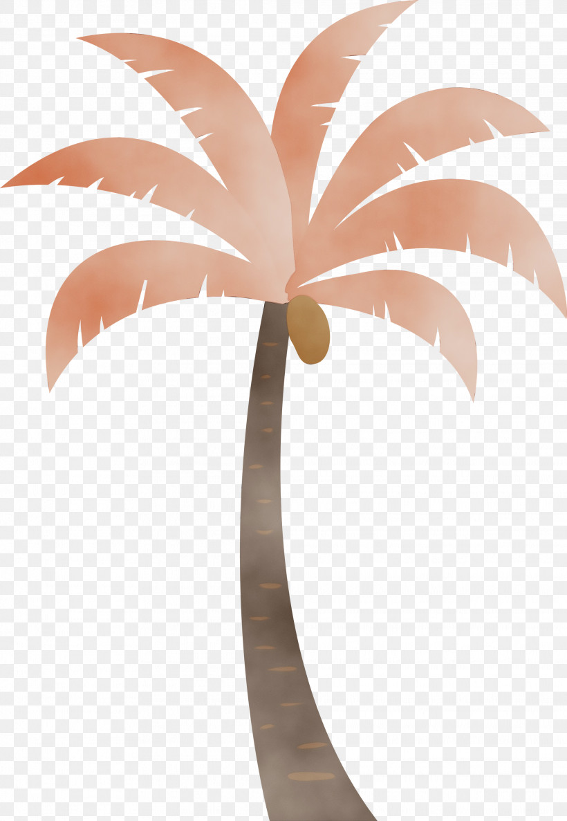 Palm Trees, PNG, 2072x3000px, Palm Tree, Beach, Biology, Cartoon Tree, Flowerpot Download Free