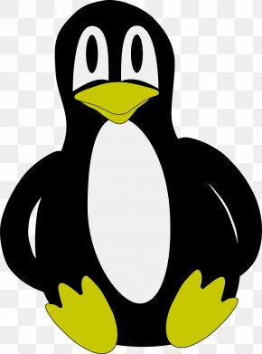 Pinguin Images Pinguin Transparent Png Free Download