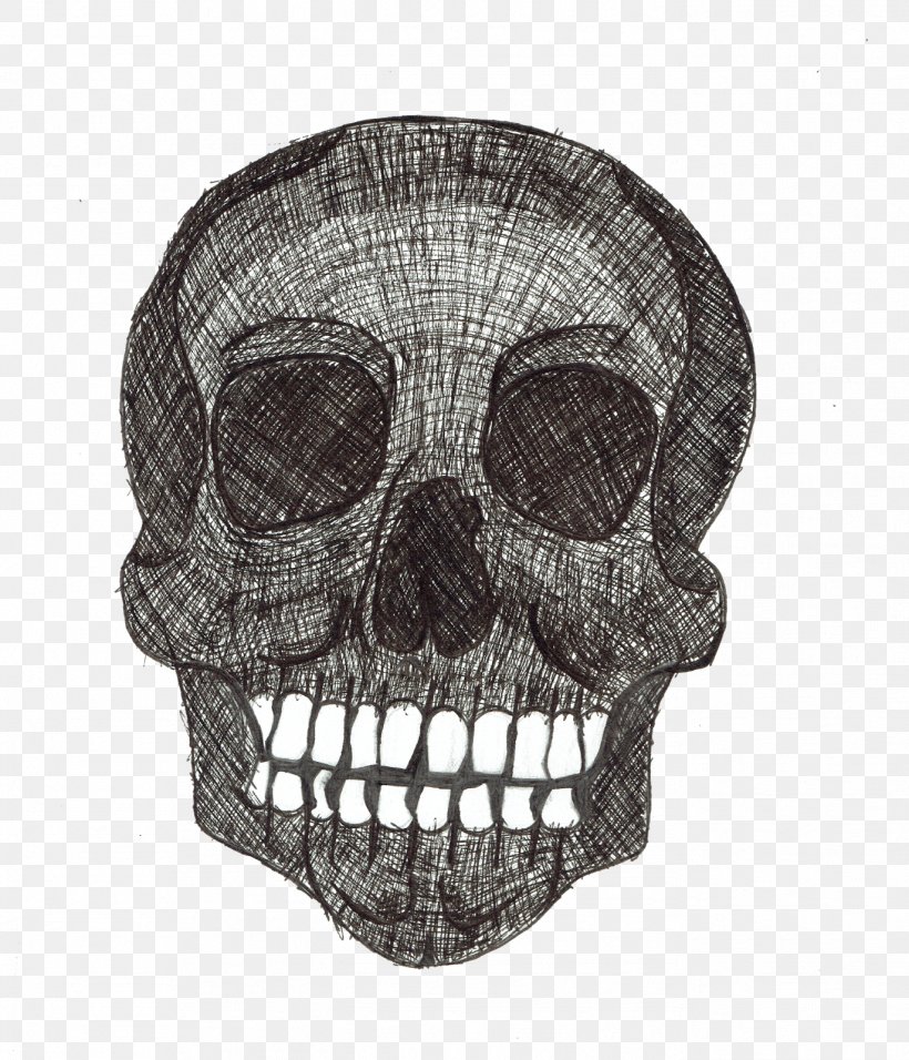 Skull, PNG, 1372x1600px, Skull, Bone, Jaw Download Free