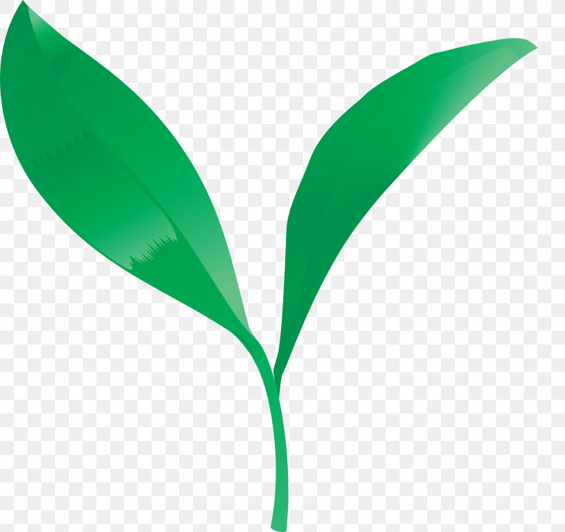 Tea Leaves Leaf Spring, PNG, 3000x2825px, Tea Leaves, Flower, Grass, Green, Leaf Download Free