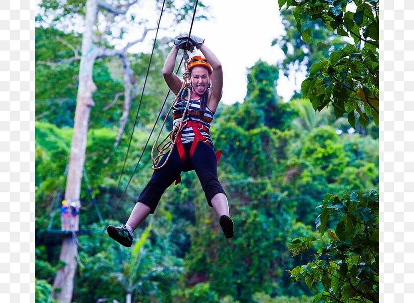 Vanuatu Jungle Zipline, PNG, 800x600px, Zipline, Adventure, Climbing Harnesses, Forest, Jungle Download Free