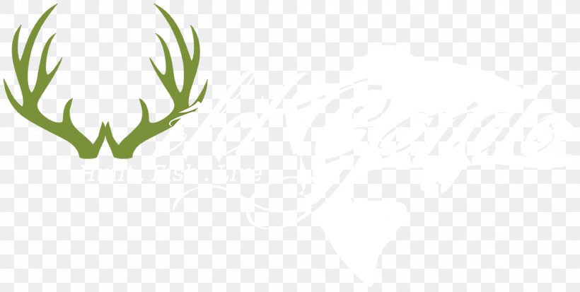 Antler Deer Grasses Logo Duvet, PNG, 1050x530px, Antler, Blanket, Branch, Commodity, Computer Download Free