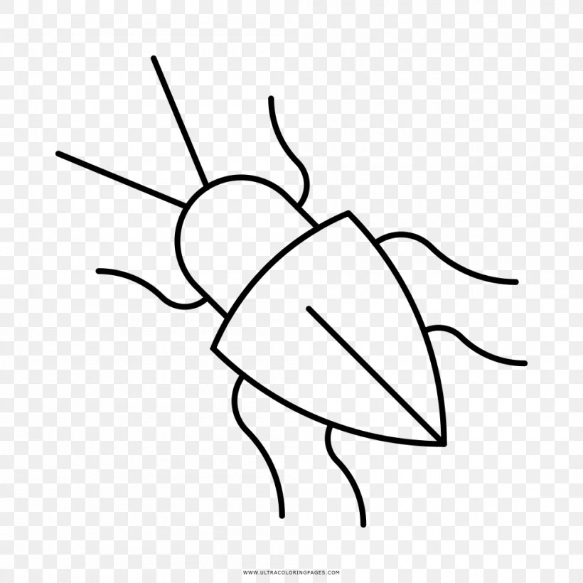 Drawing Black And White Beetle Clip Art, PNG, 1000x1000px, Watercolor, Cartoon, Flower, Frame, Heart Download Free