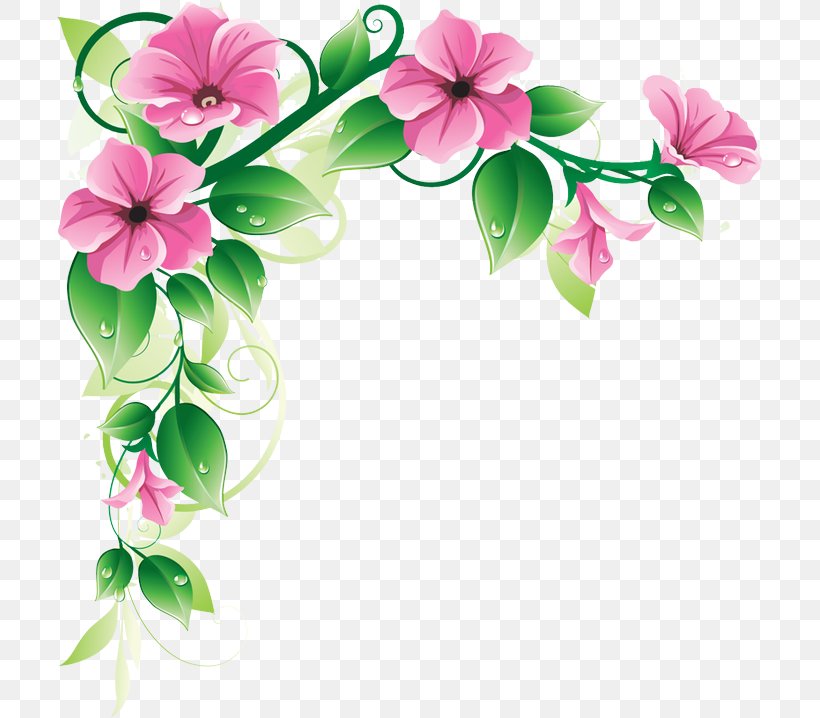Flower Petal Pink Plant Clip Art, PNG, 705x718px, Flower, Cut Flowers, Flowering Plant, Impatiens, Morning Glory Download Free