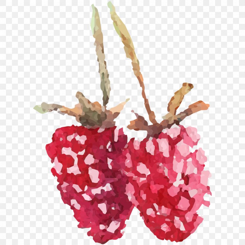 Red Raspberry Image Fruit, PNG, 1010x1010px, Red Raspberry, Branch, Christmas Ornament, Fruit, Raspberry Download Free