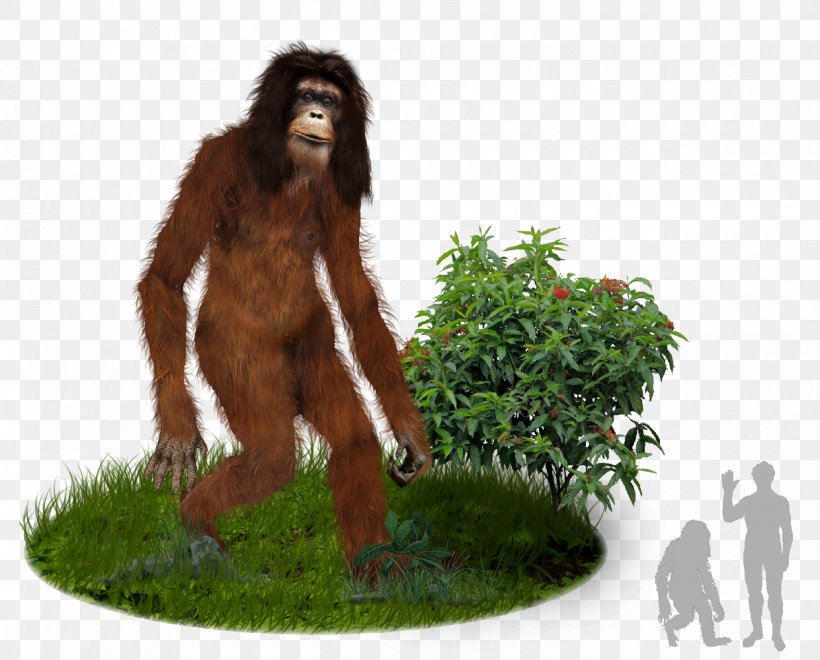 Bigfoot Gorilla Orang Pendek Sumatra Cryptozoology, PNG, 1240x999px, Bigfoot, Ape, Chimpanzee, Cryptozoology, Finding Bigfoot Download Free