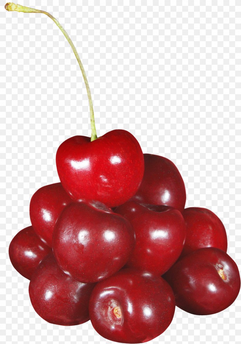 Cherry Fruit, PNG, 3043x4340px, Cherry, Accessory Fruit, Acerola, Acerola Family, Berry Download Free