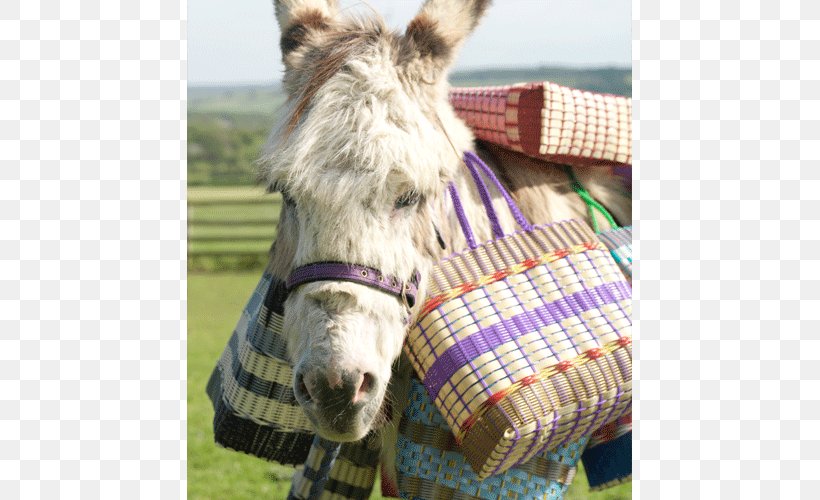 Plastic Recycling Basket Halter, PNG, 767x500px, Plastic, Basket, Bridle, Donkey, Fair Trade Download Free