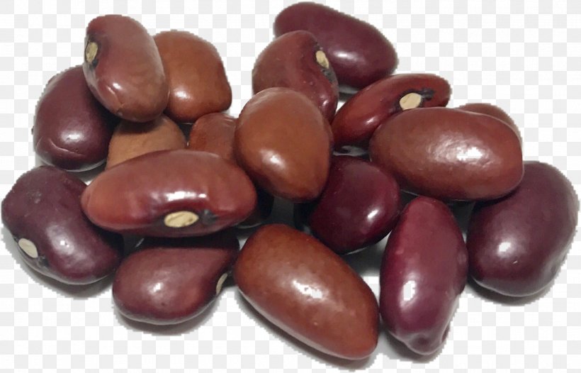 Fruit Tree, PNG, 1829x1175px, Vegetarian Cuisine, Azuki Bean, Bean, Broad Bean, Cacao Tree Download Free