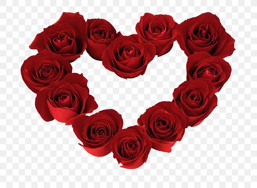 Happy Valentine's Day, PNG, 800x600px, Rose, Bouquet, Camellia, Cut ...