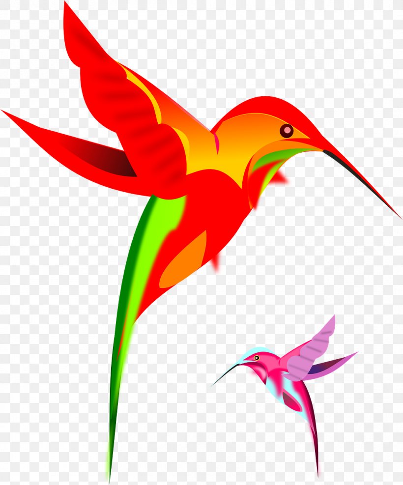Hummingbird Clip Art, PNG, 1063x1280px, Hummingbird, Art, Artwork, Beak, Bird Download Free