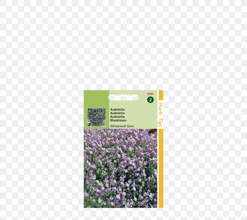 Lavender Aubrieta Violet Gemstone, PNG, 1466x1308px, Lavender, Aubrieta, Flora, Gemstone, Grass Download Free