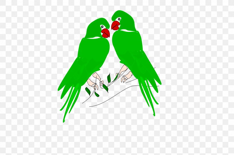 Parrot Bird Clip Art, PNG, 2400x1600px, Parrot, Animal, Beak, Bird, Grass Download Free