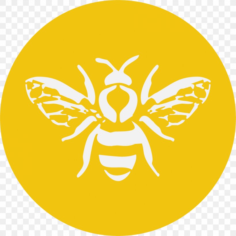 Bee Graphic Design, PNG, 904x904px, Bee, Butterfly, Drawing, Fotolia, Graphic Designer Download Free