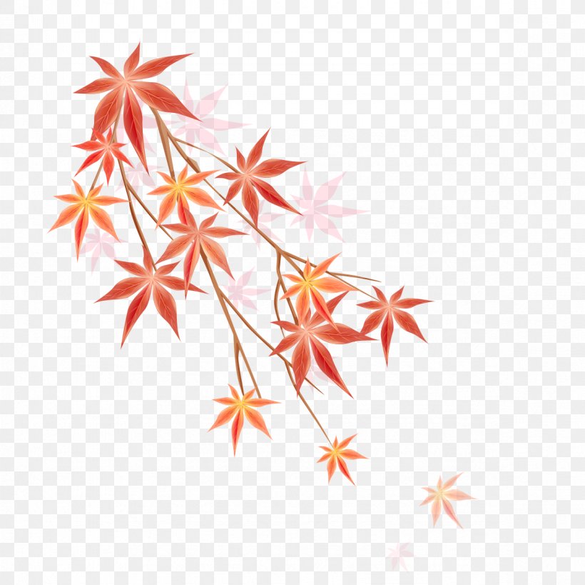 Maple Leaf Illustration, PNG, 1181x1181px, Maple Leaf, Cartoon, Flower, Flowering Plant, Leaf Download Free