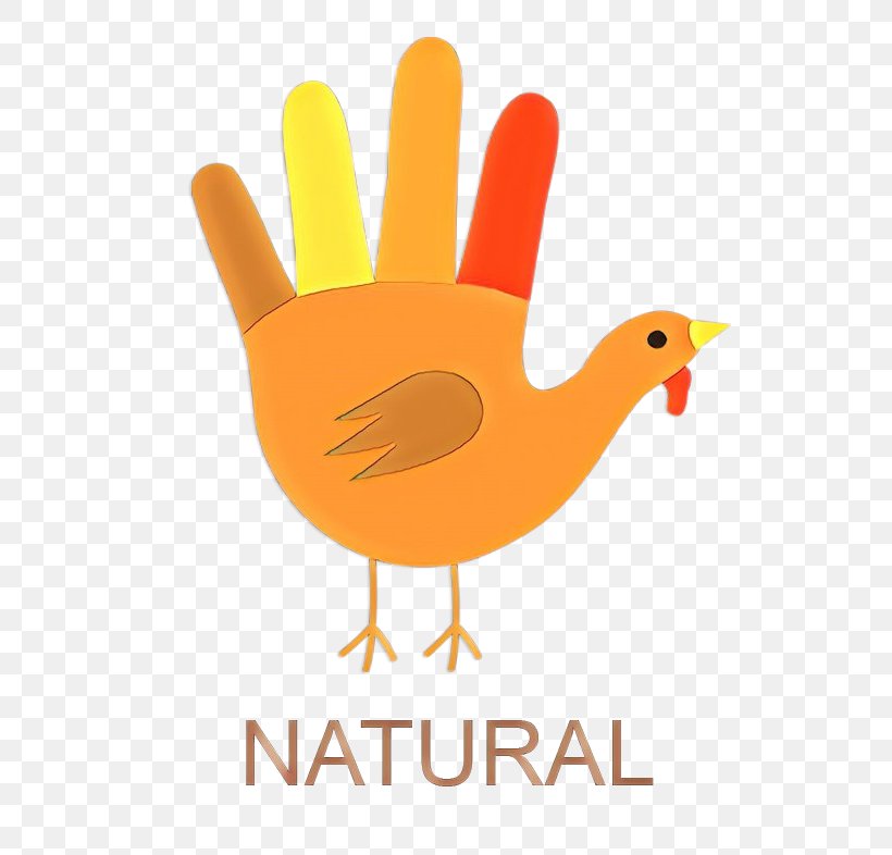 Thanksgiving Turkey Logo, PNG, 654x786px, Cartoon, Beak, Bird, Black Turkey, Chicken Download Free