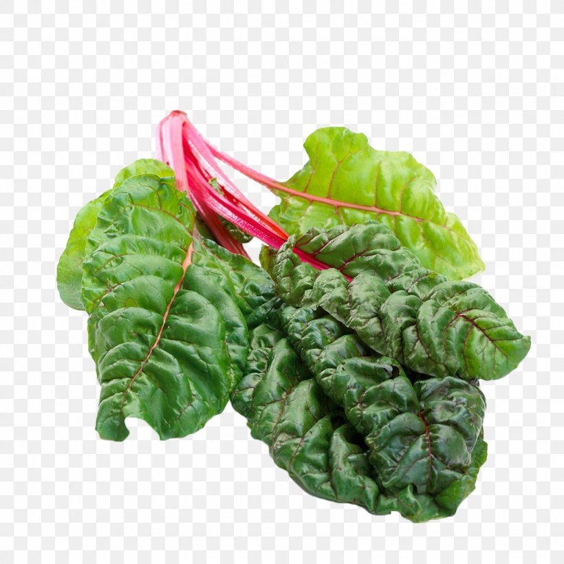 Chard Romaine Lettuce Beetroot Leaf, PNG, 1024x1024px, Vegetable, Beet Greens, Beetroot, Chard, Collard Greens Download Free