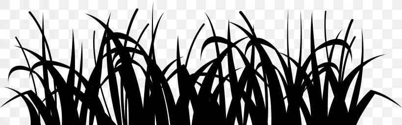 Grasses Desktop Wallpaper Commodity Computer Font, PNG, 8000x2504px, Grasses, Blackandwhite, Branch, Commodity, Computer Download Free