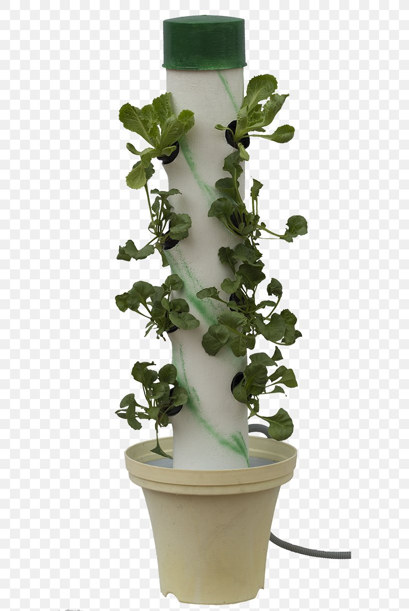 Houseplant Soil Flowerpot Food Plants, PNG, 589x1225px, Houseplant, Author, Flowerpot, Food, Herb Download Free