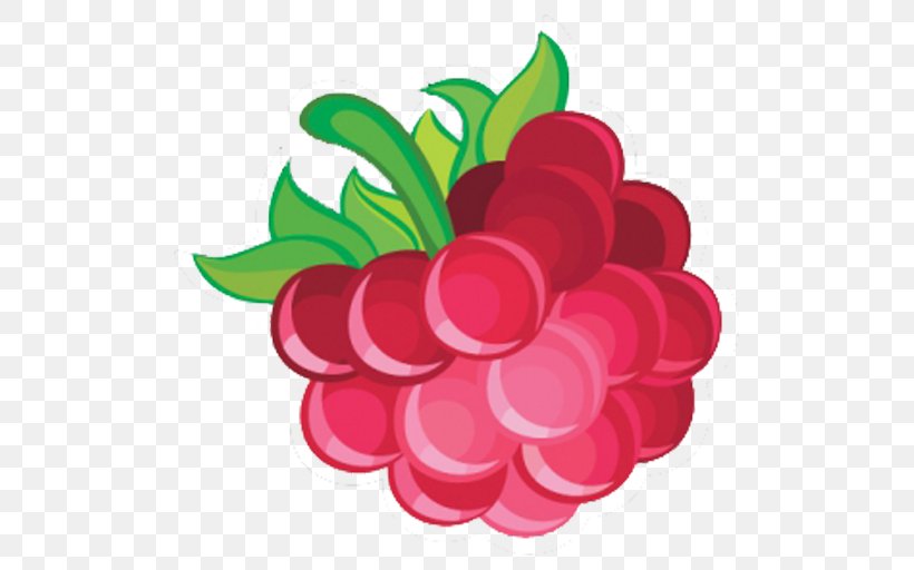 Juice Red Raspberry Fruit Berries, PNG, 512x512px, Juice, Berries, Berry, Boysenberry, Flower Download Free