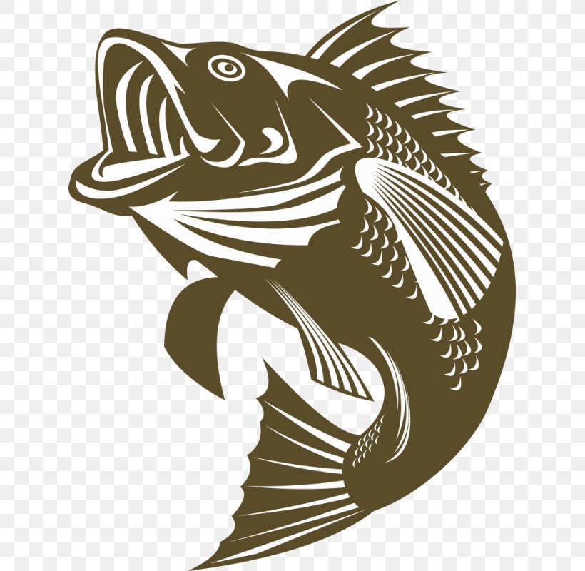 Largemouth Bass Bass Fishing, PNG, 800x800px, Largemouth Bass, Bass, Bass  Fishing, Fish, Fish Hook Download Free