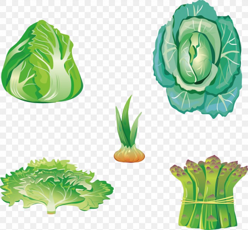 Leaf Vegetable Food, PNG, 979x912px, Leaf Vegetable, Cartoon, Designer, Flower, Food Download Free