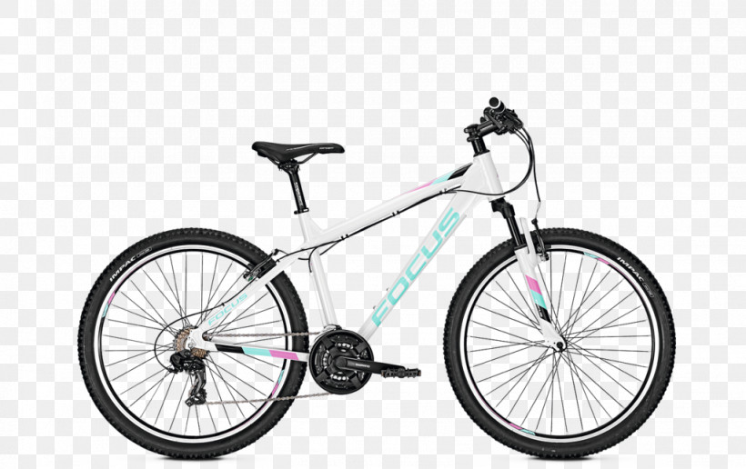 Marin Kentfield Cs2 Skunk River Cycles Bicycle Mountain Bike Marin Larkspur Cs1, PNG, 1023x644px, Marin Kentfield Cs2, Bicycle, Bicycle Frame, Bicycle Shop, Hybrid Bicycle Download Free