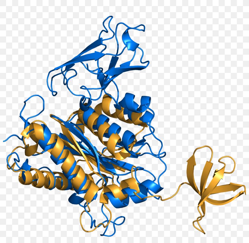 PyMOL Clip Art Protein Flower Illustration, PNG, 800x800px, Pymol, Algorithm, Art, Artwork, Flower Download Free