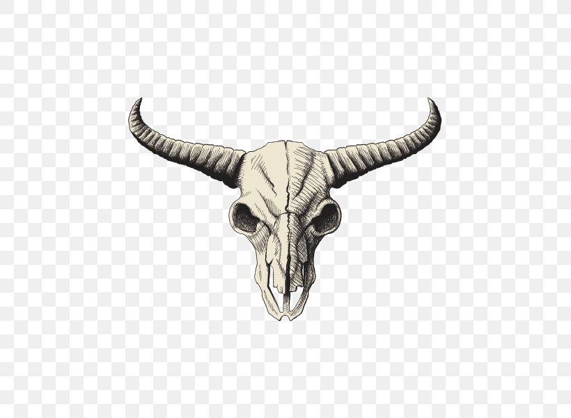 Skull American Bison Drawing Clip Art, PNG, 600x600px, Skull, African Buffalo, American Bison, Bison, Bone Download Free