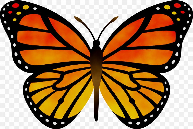 Butterfly Clip Art Vector Graphics Transparency, PNG, 3000x2018px, Butterfly, Brushfooted Butterfly, Cartoon, Cynthia Subgenus, Drawing Download Free
