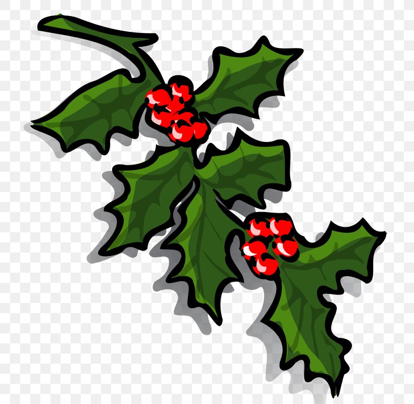 Common Holly Borders And Frames Christmas Clip Art, PNG, 800x800px, Common Holly, Aquifoliaceae, Aquifoliales, Borders And Frames, Christmas Download Free