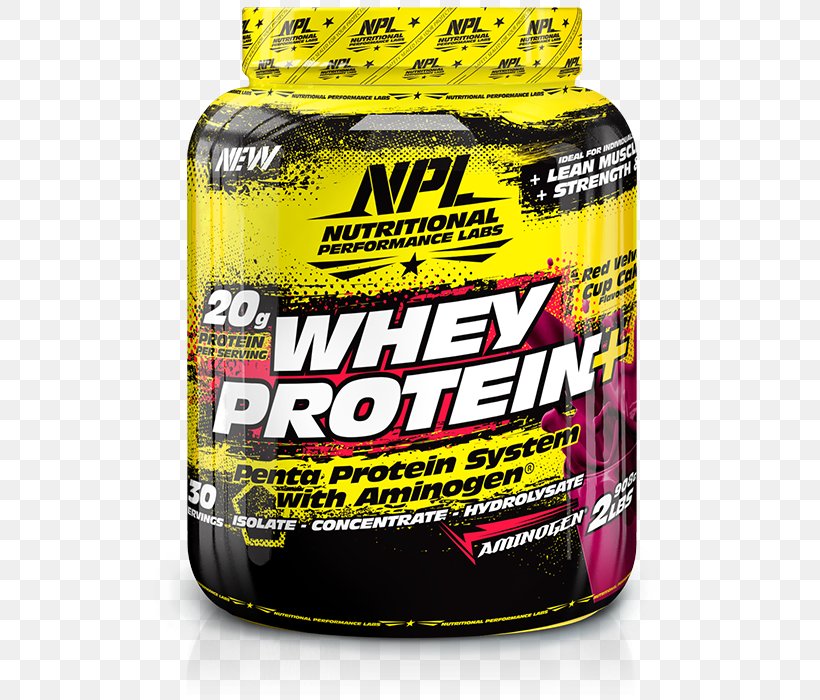 Dietary Supplement National Premier Leagues Whey Protein Isolate Bodybuilding Supplement, PNG, 576x700px, Dietary Supplement, Bodybuilding Supplement, Brand, Creatine, Diet Download Free