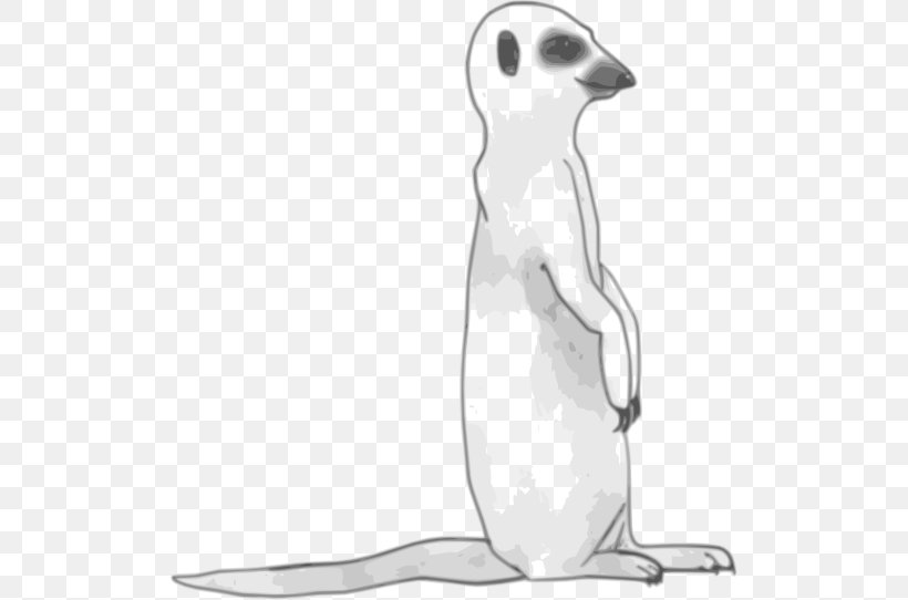 Meerkat Line Art Clip Art, PNG, 512x542px, Meerkat, Animal Figure, Beak, Bird, Black And White Download Free