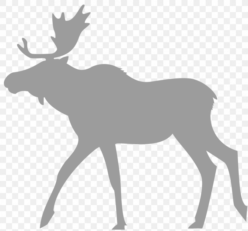 Moose Reindeer Eftersökshund Hunting Dog, PNG, 891x833px, Moose, Antler, Black And White, Deer, Dog Download Free