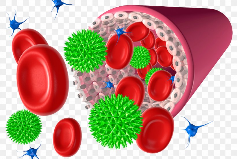 Red Blood Cell Platelet Illustration Png 1599x1075px Watercolor Cartoon Flower Frame Heart Download Free Cartoon red cell blood red blood blood cell red cell cartoon cell cartoon red cartoon blood cute symbol icon background red west sketch decoration decorative template character fashion ribbons vegetables ornament beauty decor element scenery christmas icons red berries red ribbon rabbit. red blood cell platelet illustration