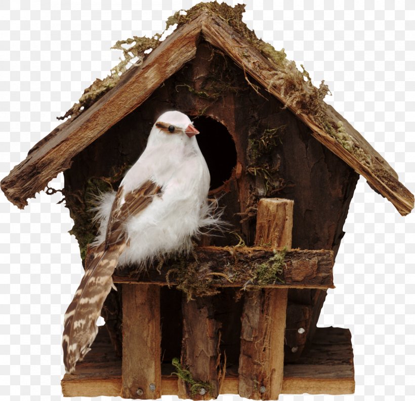 Bird Nest Nest Box Cygnini Dog Houses, PNG, 1200x1158px, Bird, Bird Nest, Birdhouse, Cygnini, Dog Houses Download Free