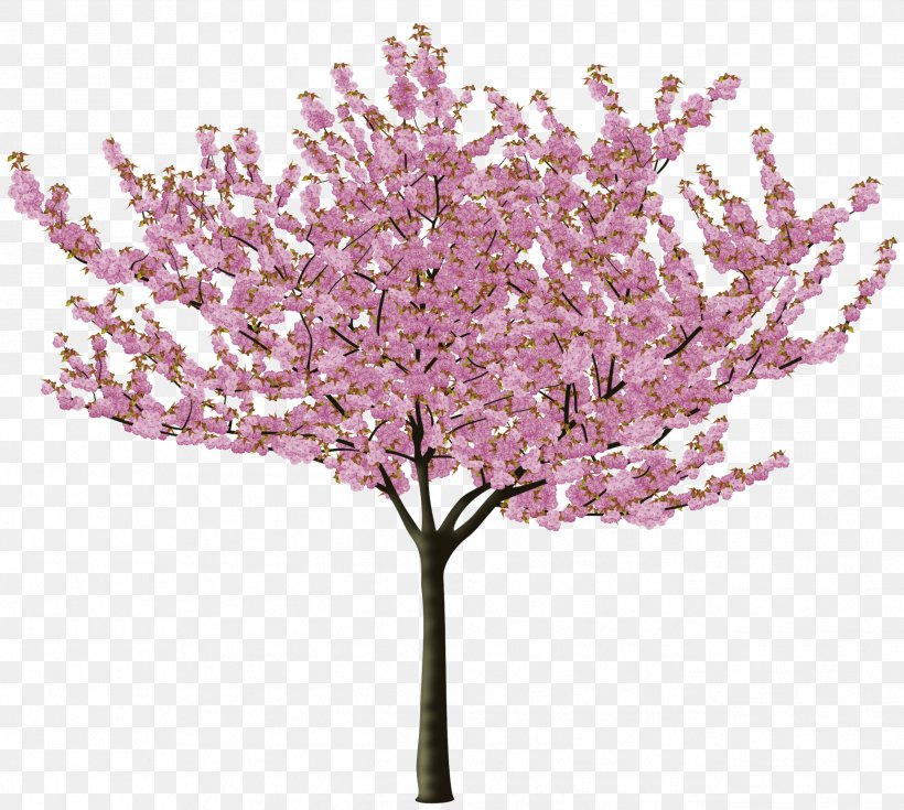 Cherry Blossom Tree Flower, PNG, 2538x2277px, Cherry Blossom, Almond, Blossom, Branch, Cerasus Download Free