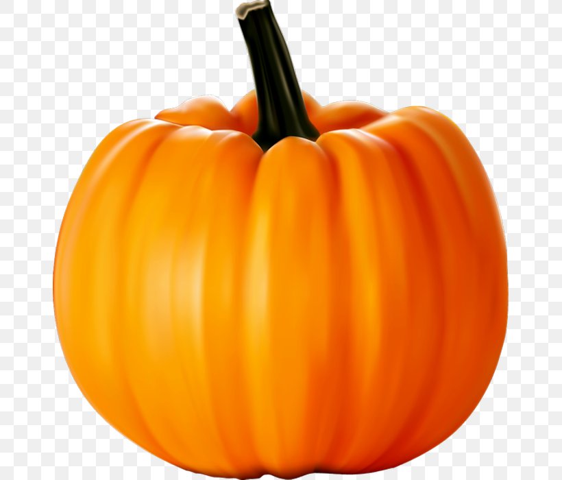 Field Pumpkin Clip Art Cucurbita Maxima, PNG, 665x700px, Pumpkin, Calabaza, Crookneck Squash, Cucurbita, Cucurbita Maxima Download Free