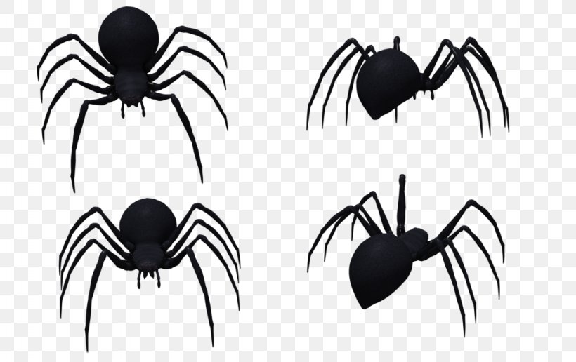 Insects & Spiders Western Black Widow Southern Black Widow Image, PNG, 1024x645px, Spider, Animal, Arachnid, Arthropod, Black And White Download Free