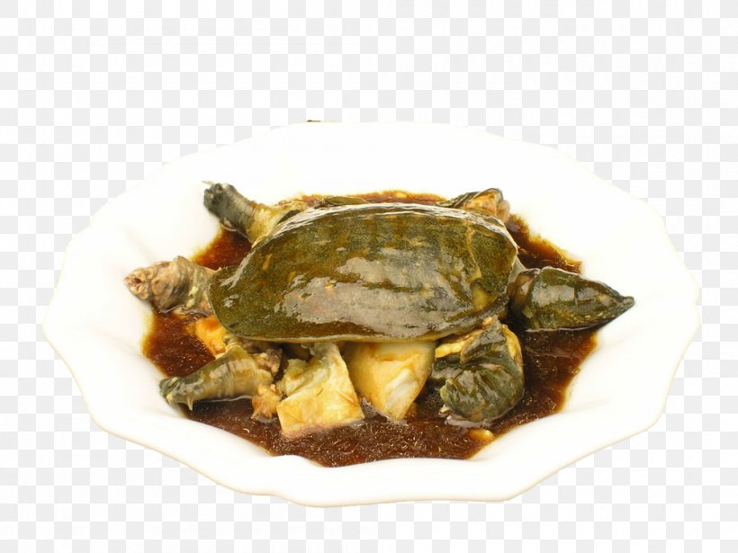 Chinese Softshell Turtle Unadon Food Nutrition, PNG, 1000x750px, Turtle, Animal Source Foods, Blanching, Braising, Chinese Softshell Turtle Download Free