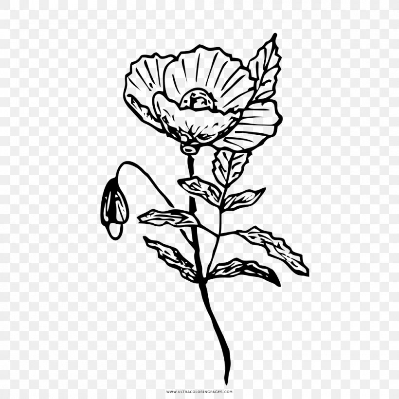 Drawing Entry-level Job Common Poppy Coloring Book Résumé, PNG, 1000x1000px, Drawing, Artwork, Black And White, Branch, Coloring Book Download Free