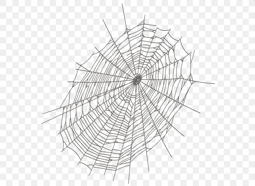 Spider Web Clip Art, PNG, 579x600px, Spider, Black And White, Black House Spider, Color, Drawing Download Free