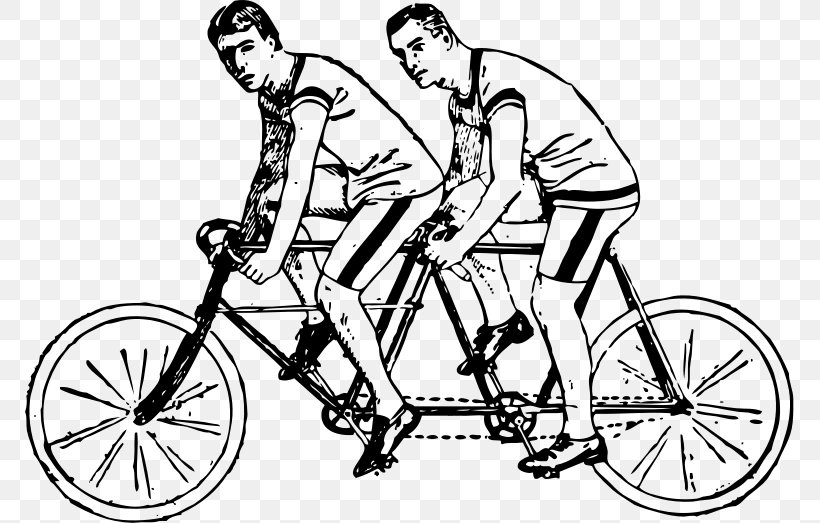 Tandem Bicycle Cycling Clip Art, PNG, 769x523px, Tandem Bicycle, Area, Artwork, Bicycle, Bicycle Accessory Download Free