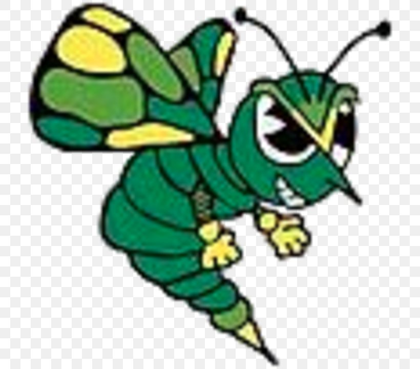 Brown County High School Quincy Jacksonville Jonesboro Taylorville, PNG, 720x720px, Quincy, Art, Artwork, Fauna, Fictional Character Download Free