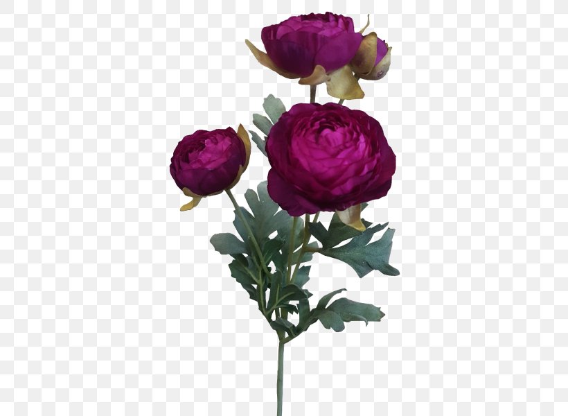 Garden Roses Cabbage Rose Cut Flowers Floral Design, PNG, 800x600px, Garden Roses, Artificial Flower, Cabbage Rose, Cut Flowers, Floral Design Download Free
