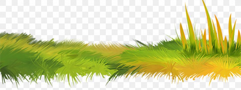Herbaceous Plant Clip Art, PNG, 2133x800px, Herbaceous Plant, Digital Image, Grass, Grass Family, Green Download Free
