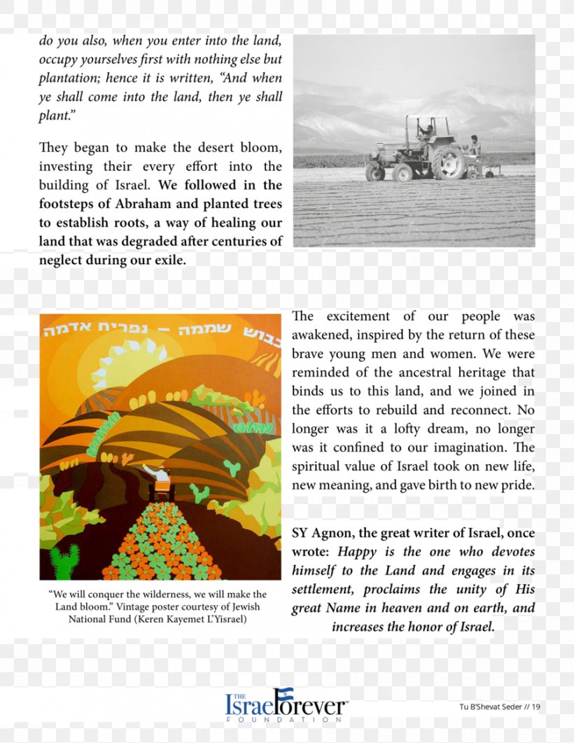 Kibbutz Organism Brochure, PNG, 900x1165px, Kibbutz, Advertising, Brochure, Organism, Text Download Free
