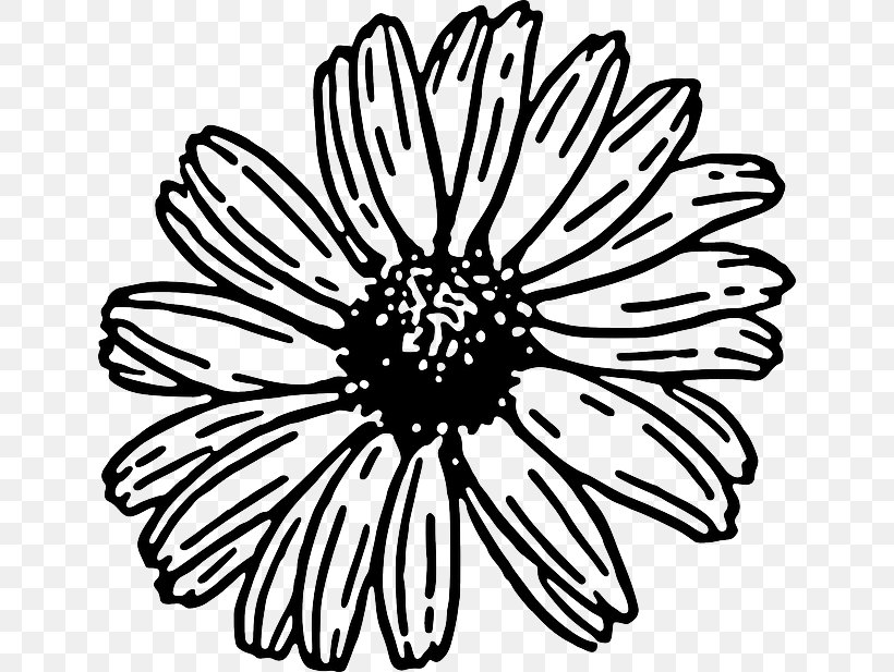 Transvaal Daisy Common Daisy Free Content Clip Art, PNG, 640x617px, Transvaal Daisy, Artwork, Black, Black And White, Blog Download Free